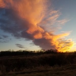 Meet your Posher, Bridget